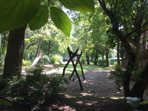 Hidden Playground in the Wood