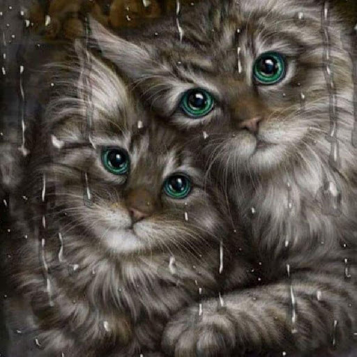 Title 3, Full Rhinestone Persian Double Cat Sticker Kit,...