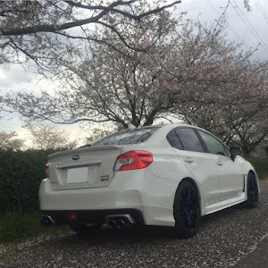 WRX S4 VAG