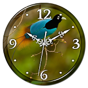 Birds of Paradise Clock LWP  Icon