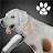 Animal Shelter Simulator Pro icon