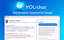 YouChat by You.com | AI Search in Google small promo image