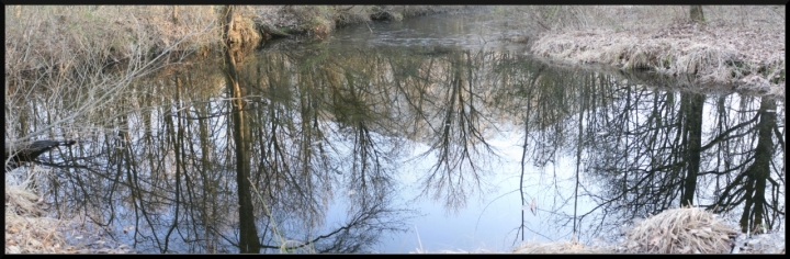 Riflessi nell'acqua di crom84