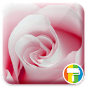 Rose ASUS ZenUI Theme