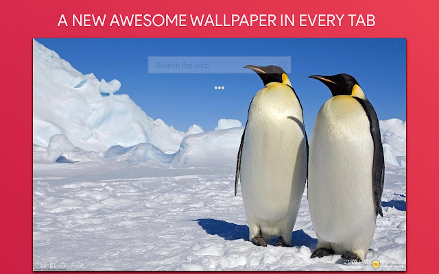 Penguins Wallpaper HD Custom New Tab