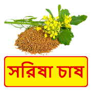 সরিষা চাষের সঠিক পদ্ধতি ~ Mustard Cultivation 1.0 Icon