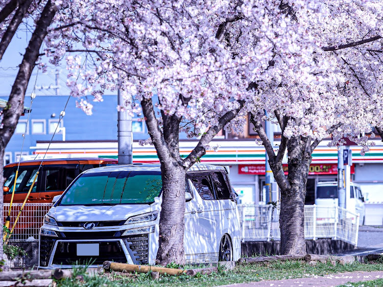 ヴェルファイアのTruth・AL・VELL機甲師団📸カメラ部・🌸さくら🌸に関するカスタム事例の投稿画像4枚目