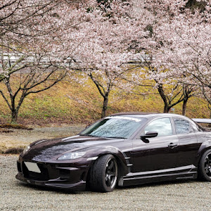 RX-8 SE3P