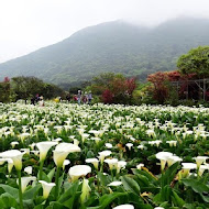 【竹子湖】苗榜花園餐廳