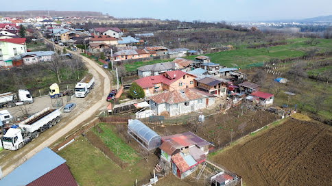 Fotógrafo de casamento Romeo Catalin (fotoromeocatalin). Foto de 26 de março