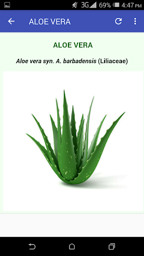 Medicinal Uses of Herbs