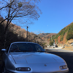 ロードスター NA6CE