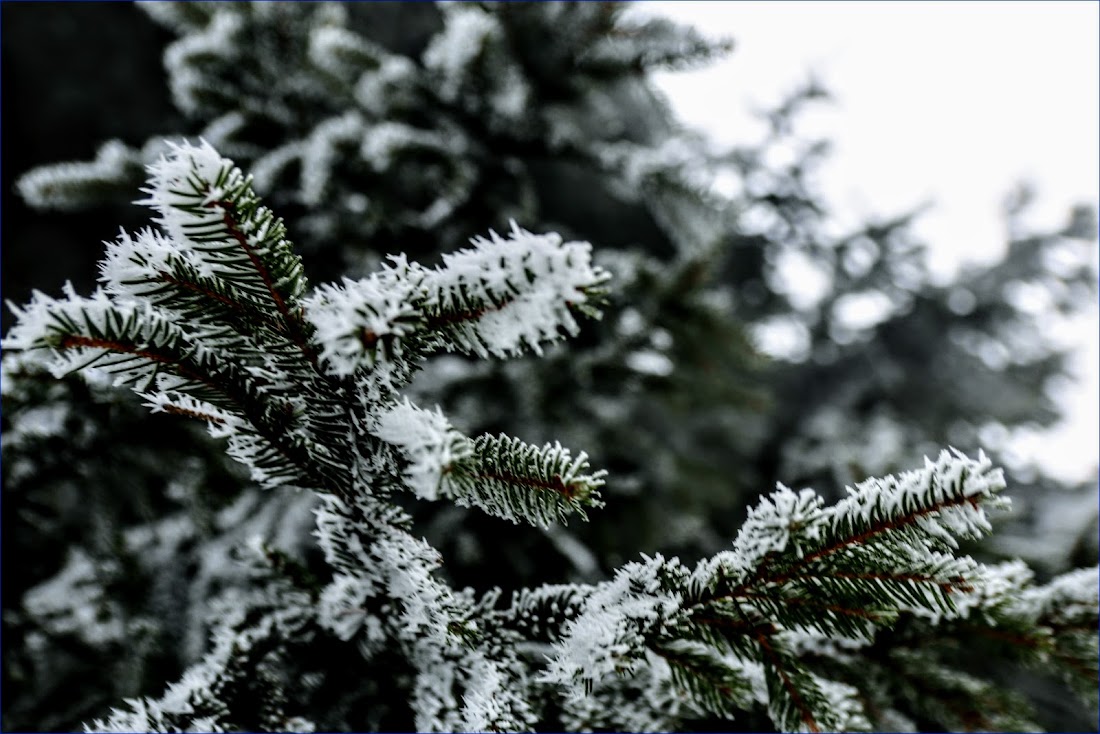 Тюрингенский лес (Thüringer Wald) и Айзенах в январе 2022.