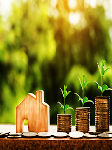 Design Home New - náhled