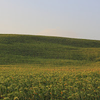 La casa in collina di 