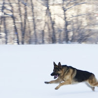 Di corsa sulla neve di 