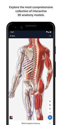 Screenshot BioDigital Human - 3D Anatomy