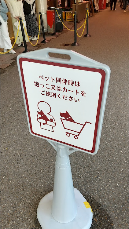カローラフィールダーの5月もよろしくお願いします・GWに関するカスタム事例の投稿画像6枚目