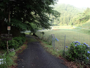 遊歩道を歩く