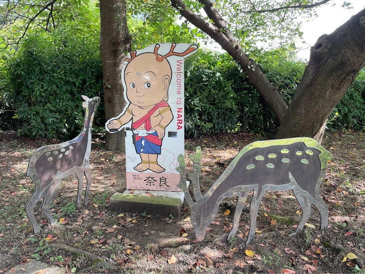 595のドライブ・車高調整に関するカスタム事例の投稿画像2枚目