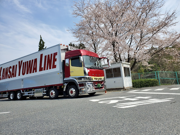 ショウ✌️さんが投稿した桜に関するカスタム事例の投稿画像1枚目