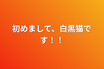 「初めまして、白黒猫です！！」のメインビジュアル