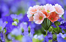 Flowers Wallpapers New Tab Theme small promo image