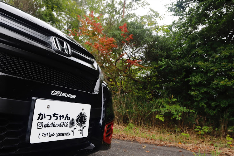 オデッセイの小さい秋見つけた・まだ9月頭なのになんで色付いてるの？・たまたまだけど紅葉スポット見つけたかも・今年こそ紅葉はリベンジや・去年は散ってたからなおさら欲が強いに関するカスタム事例の投稿画像4枚目