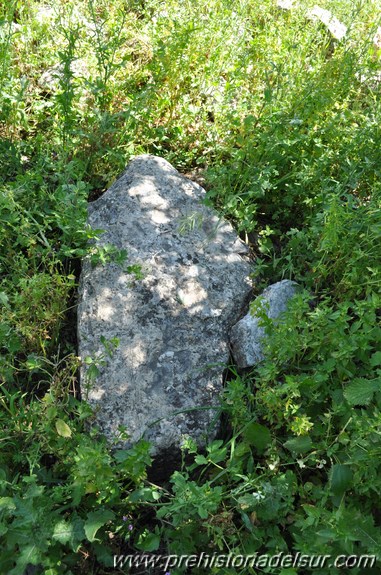 Vsaepo, Saepona, Cerro de la Fantasía