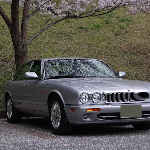 XJ J13LB