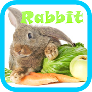 Rabbit Live wallpaper  Icon