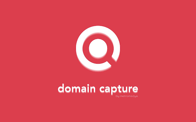 domain capture