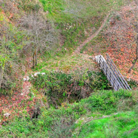 Da grande diventerò un viadotto di 