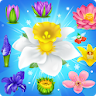 Blossom Charming: Flower games icon