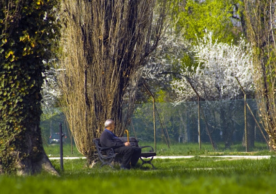 Quante primavere....piùuna di bucefalo