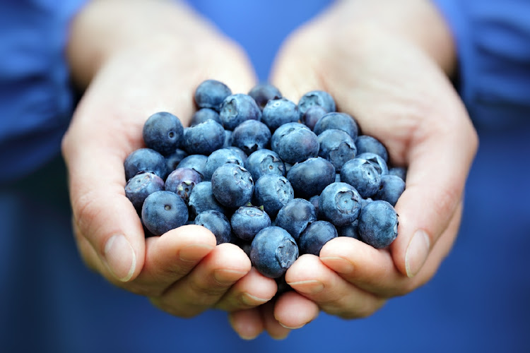 Berry exports are seriously affected by the Transnet strike. File photo.