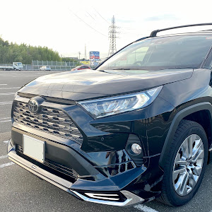 RAV4 MXAA54