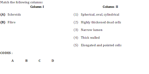 Permanent Tissues