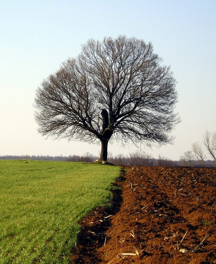 In terra di Siena di marcus51