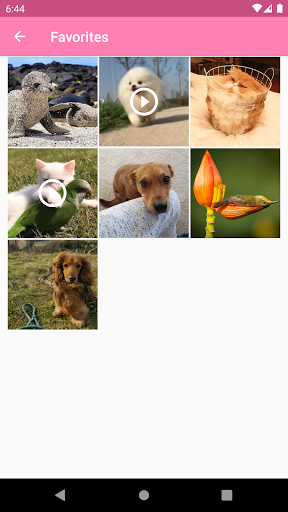Screenshot Cute Animals Pictures & Videos