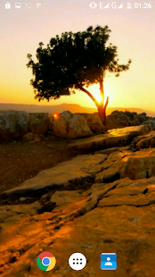 Download Saint Earth Video Wallpaper APK for Android