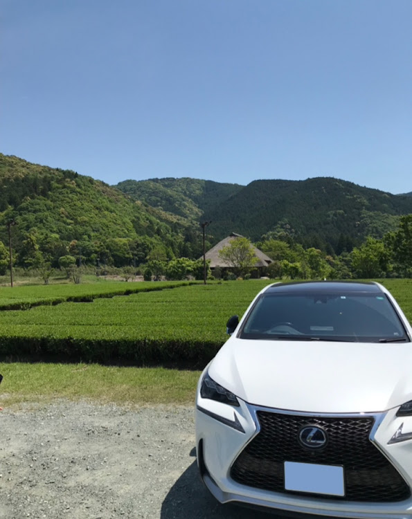 NXのLEXUS・Fスポーツ・パノラマルーフに関するカスタム事例の投稿画像1枚目