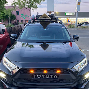 RAV4 MXAA54