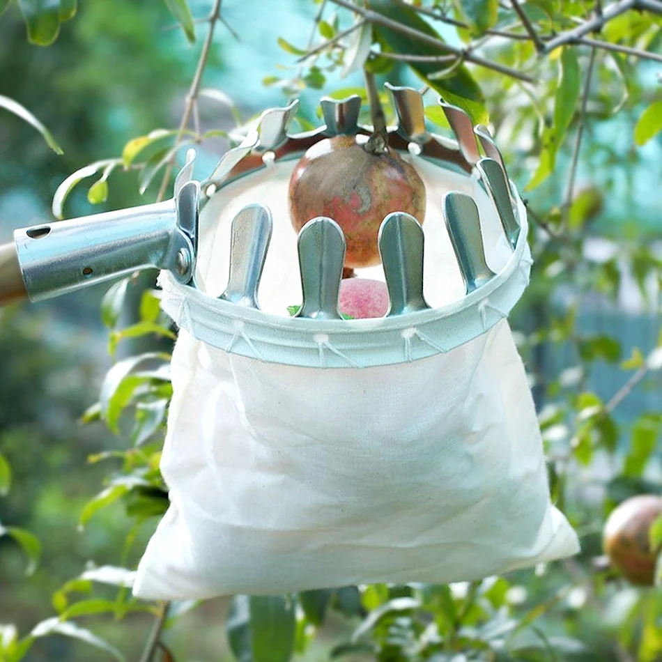 Raccoglitore di Frutta Portatile Agricolo per Altezze Elevate Raccolta Semplice e Sicura Raccogli i Frutti in Alto e Semplifica il Giardinaggio