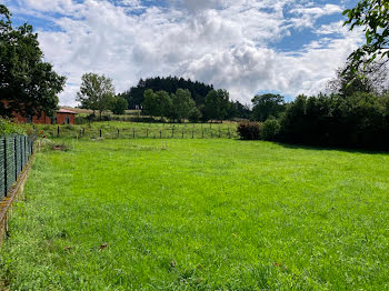 terrain à Belmont-de-la-Loire (42)