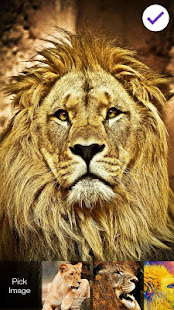 Lion Eye Lock Screen(圖3)-速報App