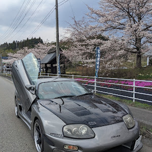 スープラ 80系