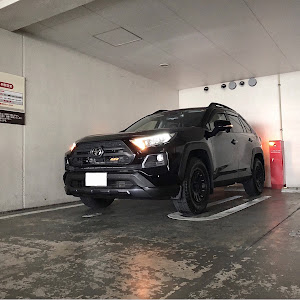 RAV4 MXAA54