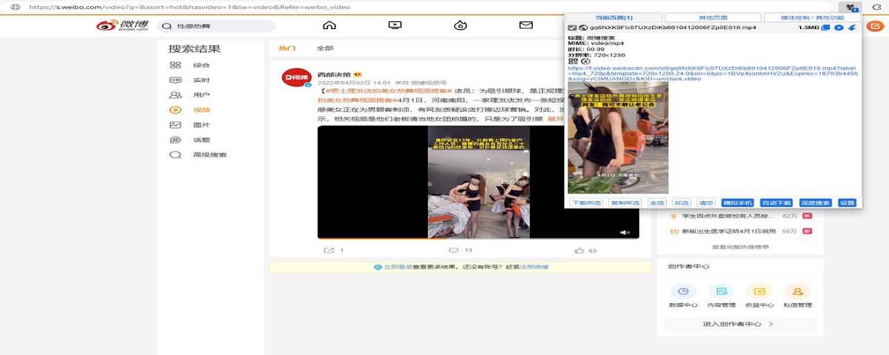 专业视频下载 Preview image 1