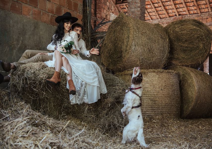 Fotografo di matrimoni Elena Novik (sekmet). Foto del 21 luglio 2020